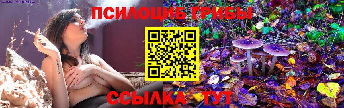 Галлюциногенные грибы GOLDEN TEACHER Сафоново